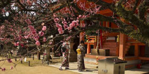 Shinto Temple in Kyoto, Japan. Photo credit: Wikimedia