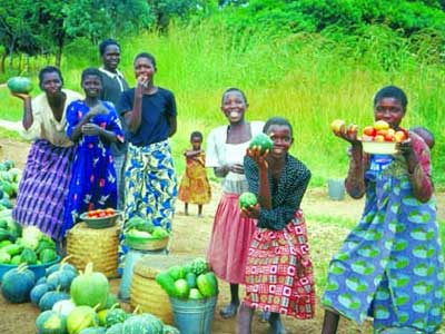 "True justice is the harvest reaped by peacemakers from seeds sown in a spirit of peace" (James 3:18)