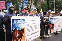 On World Water Day, March 22, the Development and Peace delegation joined with 25,000 demonstrators in a march through the streets of Mexico City. They carried banners in English, French and Spanish proclaiming the four principles of a water declaration signed by more than 236,000 Canadians. The declaration states that water is a sacred gift that connects all life; access to clean water is a basic human right; the value of the Earth's freshwater to the common good takes priority over any possible commercial value; and fresh water is a shared legacy, a public trust and a collective responsibility.