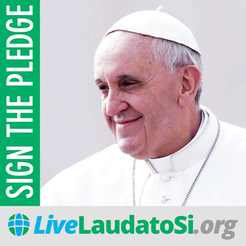 Global Catholic Climate Movement: Laudato Si’ Pledge Launched to Mobilize 1 Million Catholics on Climate Change